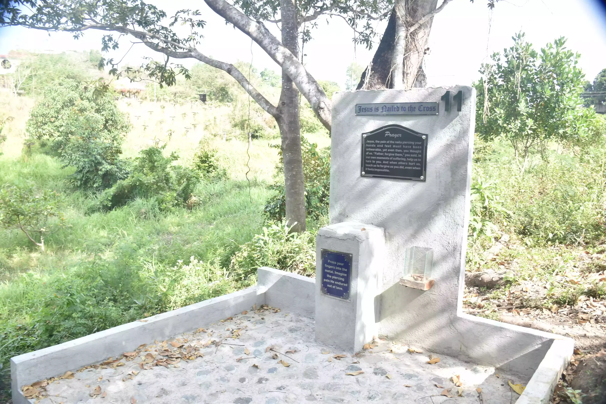 Station 11: Jesus is Nailed to the Cross - Stations of the Cross at Mt. Grona